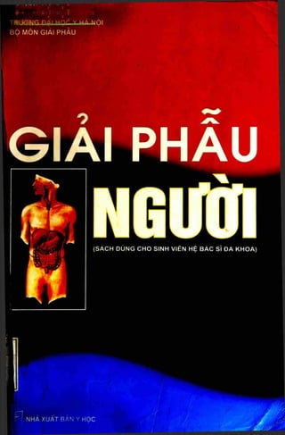 ATLAS GIẢI PHẪU NGƯỜI DỊCH TỪ BỘ SÁCH KINH ĐIỂN CỦA NETTER