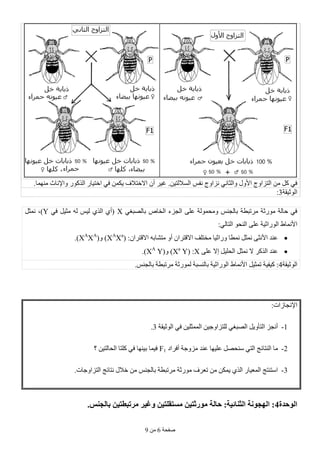 ‫طفحخ‬6ِٓ9
.ٓ١‫اٌغالٌز‬ ‫ٔفظ‬ ‫ٔضاٚط‬ ٟٔ‫ٚاٌضب‬ ‫األٚي‬ ‫اٌزضاٚط‬ ِٓ ً‫و‬ ٟ‫ف‬.‫ِّٕٙب‬ ‫ٚاإلٔبس‬ ‫اٌزوٛس‬ ‫اخز١بس‬ ٟ‫ف‬ ّٓ‫٠ى‬ ‫االخزالف‬ ْ‫أ‬ ‫غ١ش‬
‫اٌٛص١مخ‬3:
ٟ‫ثبٌظجغ‬ ‫اٌخبص‬ ‫اٌغضء‬ ٍٝ‫ػ‬ ‫ِٚحٌّٛخ‬ ‫ثبٌغٕظ‬ ‫ِشرجطخ‬ ‫ِٛسصخ‬ ‫حبٌخ‬ ٟ‫ف‬Xٟ‫ف‬ ً١‫ِض‬ ٌٗ ‫ٌ١ظ‬ ٞ‫اٌز‬ ٞ‫(أ‬Y)ً‫ّٔض‬ ،
‫األّٔبط‬:ٌٟ‫اٌزب‬ ٛ‫إٌح‬ ٍٝ‫ػ‬ ‫اٌٛساص١خ‬
‫ػٕذ‬ٝ‫األٔض‬‫االلزشا‬ ٗ‫ِزشبث‬ ٚ‫أ‬ ْ‫االلزشا‬ ‫ِخزٍف‬ ‫ٚساص١ب‬ ‫ّٔطب‬ ً‫ّٔض‬( :ْXA
Xa
(ٚ )XA
XA
.)
ٍٝ‫ػ‬ ‫إال‬ ً١ٍ‫اٌح‬ ً‫ّٔض‬ ‫ال‬ ‫اٌزوش‬ ‫ػٕذ‬X( :Xa
Y(ٚ )XA
Y.)
‫اٌٛص١مخ‬4ً١‫رّض‬ ‫و١ف١خ‬ :‫األّٔبط‬.‫ثبٌغٕظ‬ ‫ِشرجطخ‬ ‫ٌّٛسصخ‬ ‫ثبٌٕغجخ‬ ‫اٌٛساص١خ‬
:‫اإلٔغبصاد‬
1-‫اٌٛص١مخ‬ ٟ‫ف‬ ٓ١ٍ‫اٌّّض‬ ٓ١‫ٌٍزضاٚع‬ ٟ‫اٌظجغ‬ ً٠ٚ‫اٌزأ‬ ‫أٔغض‬3.
2-‫أفشاد‬ ‫ِضٚعخ‬ ‫ػٕذ‬ ‫ػٍ١ٙب‬ ً‫عٕحظ‬ ٟ‫اٌز‬ ‫إٌزبئظ‬ ‫ِب‬F1‫؟‬ ٓ١‫اٌحبٌز‬ ‫وٍزب‬ ٟ‫ف‬ ‫ث١ٕٙب‬ ‫ف١ّب‬
3-.‫اٌزضاٚعبد‬ ‫ٔزبئظ‬ ‫خالي‬ ِٓ ‫ثبٌغٕظ‬ ‫ِشرجطخ‬ ‫ِٛسصخ‬ ‫رؼشف‬ ِٓ ٓ‫٠ّى‬ ٞ‫اٌز‬ ‫اٌّؼ١بس‬ ‫اعزٕزظ‬
‫الىحذة‬4.‫بالجىس‬ ‫مرحبطخٍه‬ ‫وغٍر‬ ‫مسخقلخٍه‬ ‫مىرثخٍه‬ ‫حالت‬ :‫الثىائٍت‬ ‫الهجىوت‬ :
 