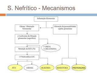 S. Nefrítico - Mecanismos
Inflamação Glomerular
Edema / Obstrução
Glomerular
Alteração da permeabilidade
capilar glomerular
↓ Coeficiente de filtração
glomerular (superfície)
Retenção de H2O e Na
↑ P hidrostática LEC
HTA
↑ UREIA
↑ CREATININA
EDEMA OLIGÚRIA HEMATÚRIA PROTEINÚRIA
 