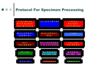 Protocol For Specimen Processing   