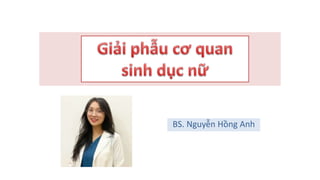 BS. Nguyễn Hồng Anh
 