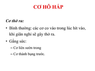 Cơ thở ra:
• Bình thƣờng: các cơ co vào trong lúc hít vào,
khi giãn nghỉ sẽ gây thở ra.
• Gắng sức:
– Cơ liên sƣờn trong
– Cơ thành bụng trƣớc.
CƠ HÔ HẤP
 