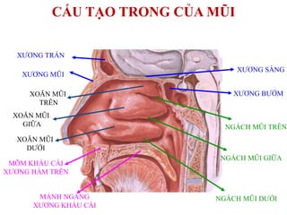 7. Kết Luận