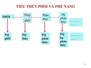 Thùy
phổi
PHỔI
Hạ
phân
thùy
Phân
thùy
PQ
phổi
PQ
thùy
PQ
phân
thùy
PQ
hạ
phân
thùy
………
……
………
……
70
TIỂU THÙY PHỔI VÀ PHẾ NANG
 