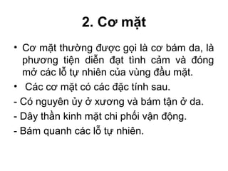 2. Cơ mặt
• Cơ mặt thường được gọi là cơ bám da, là
  phương tiện diễn đạt tình cảm và đóng
  mở các lỗ tự nhiên của vùng đầu mặt.
• Các cơ mặt có các đặc tính sau.
- Có nguyên ủy ở xương và bám tận ở da.
- Dây thần kinh mặt chi phối vận động.
- Bám quanh các lỗ tự nhiên.
 