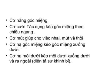 • Cơ nâng góc miệng
• Cơ cười Tác dụng kéo góc miệng theo
  chiều ngang .
• Cơ mút giúp cho việc nhai, mút và thổi
• Cơ hạ góc miệng kéo góc miệng xưống
  dưới.
• Cơ hạ môi dưới kéo môi dưới xuống dưới
  và ra ngoài (diễn tả sự khinh bỉ).
 