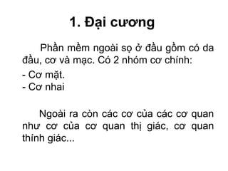 1. Đại cương
    Phần mềm ngoài sọ ở đầu gồm có da
đầu, cơ và mạc. Có 2 nhóm cơ chính:
- Cơ mặt.
- Cơ nhai

    Ngoài ra còn các cơ của các cơ quan
như cơ của cơ quan thị giác, cơ quan
thính giác...
 