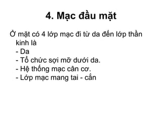4. Mạc đầu mặt
Ở mặt có 4 lớp mạc đi từ da đến lớp thần
 kinh là
 - Da
 - Tổ chức sợi mỡ dưới da.
 - Hệ thống mạc cân cơ.
 - Lớp mạc mang tai - cắn
 