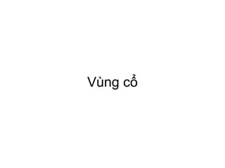 Vùng cổ
 