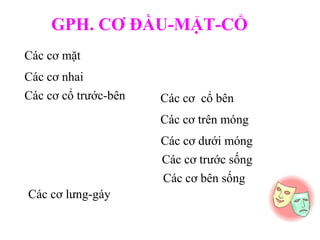 GPH. CƠ ĐẦU-MẶT-CỔ
Các cơ mặt
Các cơ nhai
Các cơ cổ trước-bên   Các cơ cổ bên
                      Các cơ trên móng
                      Các cơ dưới móng
                      Các cơ trước sống
                      Các cơ bên sống
Các cơ lưng-gáy
 