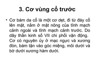 3. Cơ vùng cổ trước
• Cơ bám da cổ là một cơ dẹt, đi từ đáy cổ
  lên mặt, nằm ở mặt nông của tĩnh mạch
  cảnh ngoài và tĩnh mạch cảnh trước. Do
  dây thần kinh số VII chi phối vận động.
  Cơ có nguyên ủy ở mạc ngực và xương
  đòn, bám tận vào góc miệng, môi dưới và
  bờ dưới xương hàm dưới.
 
