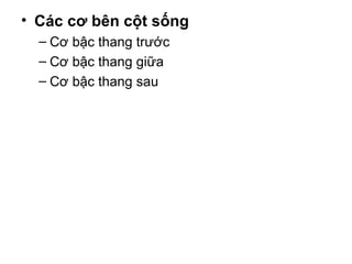 • Các cơ bên cột sống
  – Cơ bậc thang trước
  – Cơ bậc thang giữa
  – Cơ bậc thang sau
 