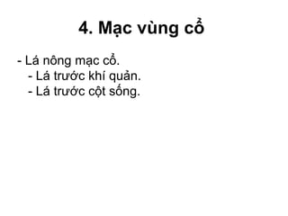 4. Mạc vùng cổ
- Lá nông mạc cổ.
  - Lá trước khí quản.
  - Lá trước cột sống.
 
