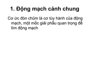 1. Động mạch cảnh chung
Cơ ức đòn chũm là cơ tùy hành của động
 mạch, một mốc giải phẫu quan trọng để
 tìm động mạch
 