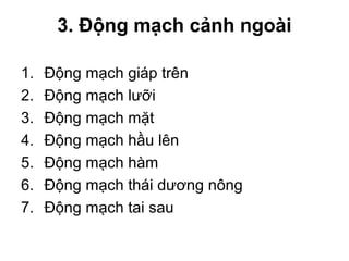 3. Động mạch cảnh ngoài

1.   Động mạch giáp trên
2.   Động mạch lưỡi
3.   Động mạch mặt
4.   Động mạch hầu lên
5.   Động mạch hàm
6.   Động mạch thái dương nông
7.   Động mạch tai sau
 
