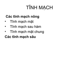 TĨNH MẠCH
 Các tĩnh mạch nông
• Tĩnh mạch mặt
• Tĩnh mạch sau hàm
• Tĩnh mạch mặt chung
Các tĩnh mạch sâu
 