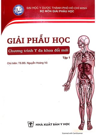 GIẢI PHẪU Y HỌC HCM - TẬP 1 - Chủ biên_Nguyễn Hoàng Vũ.pdf