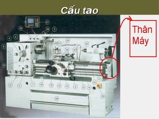 CCấấuu ttạạoo 
 