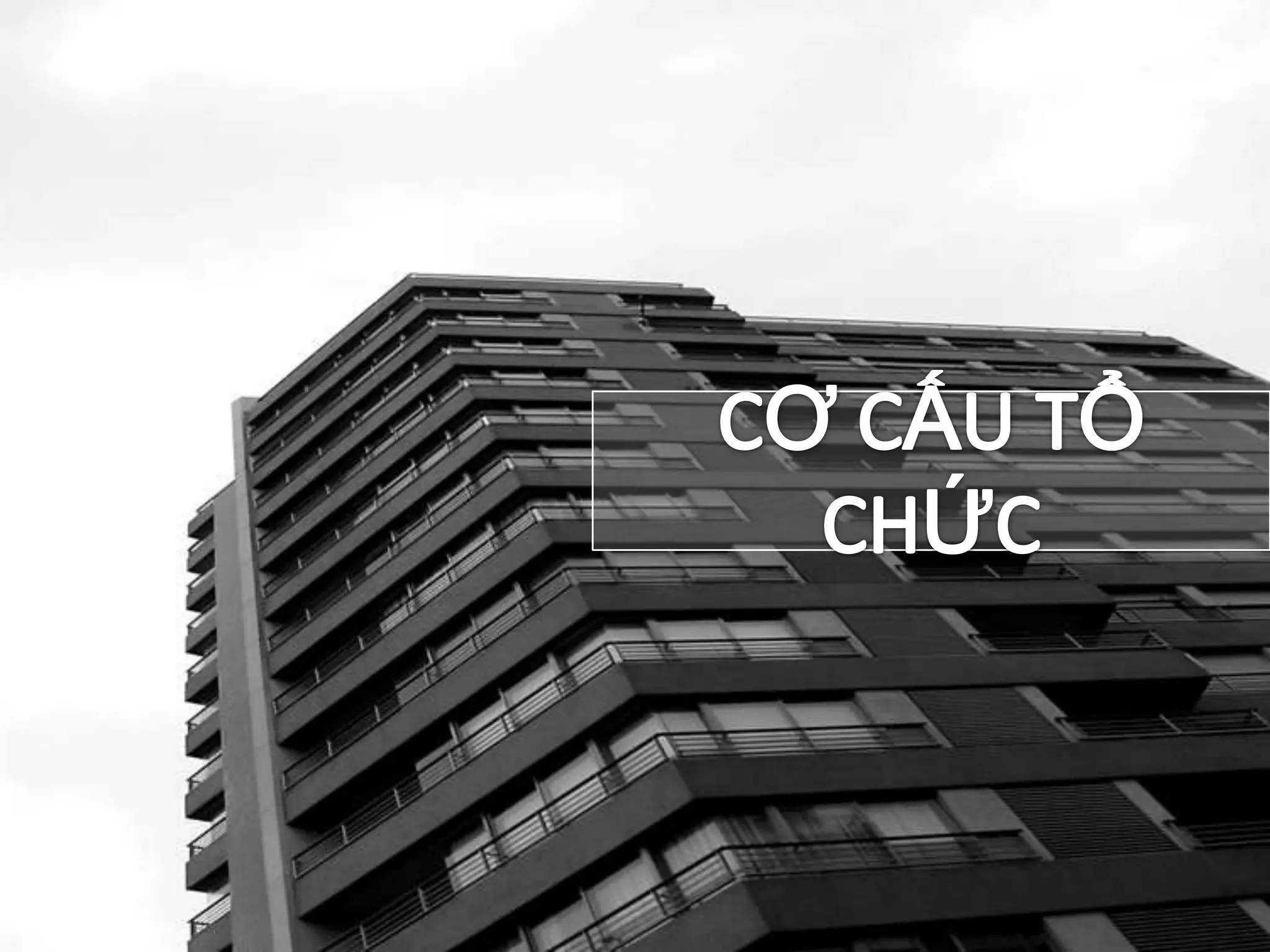 SỰ RA ĐỜILOGO VÀ KHẨU HIỆULOGO CHÍNH THỨCĐoàn kết về con người