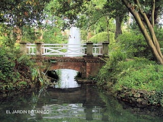 EL JARDIN BOTANICO

 