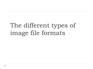 The different types of
image file formats
 