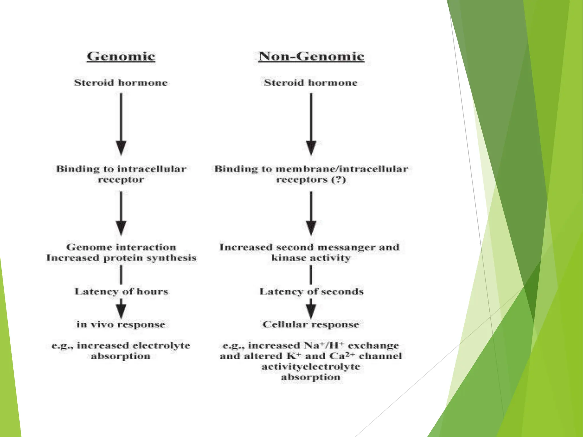 Non genomic effects of corticosteroids ppt | PPTX