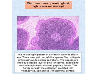 Gi lab