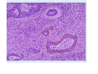 Gi lab