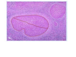 Gi lab
