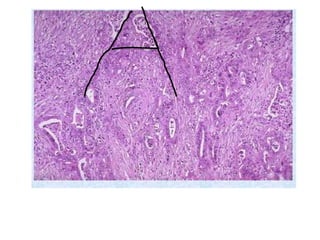 Gi lab