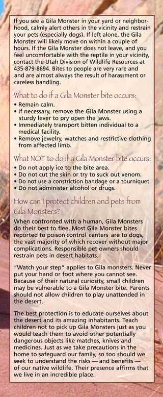 gila-monster-brochure-pdf