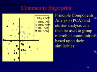 17Examples16:0  = 16 carbons, no double bonds