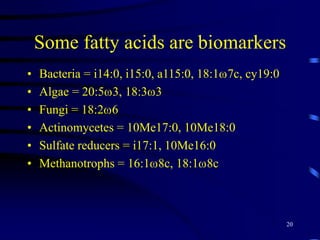 18:25 = 18 carbons, 2 double bonds at the 5th position from the aliphatic end