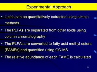 a15:0  = 15 carbons, no double bonds with anteiso branching18Some ecologically important patterns have been recognized:Ratio of i15:0 and a15:0 PLFA to 16:0 PLFA is a useful index of the proportion of bacteria and eucarya in the community. Also ratios of trans and cis isomers of saturated to unsaturated fatty acids may indicate physiological conditions of organisms or environmental stress. 