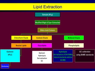 19CO2 x AM:amb, -AMamb, +AMele, -AMele, +AMCommunity fingerprintPrinciple Components Analysis (PCA) and cluster analysis can then be used to group microbial communities based upon their similarities: