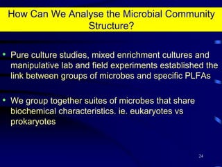 Algae = 20:53, 18:33