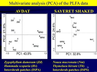 Actinomycetes = 10Me17:0, 10Me18:0