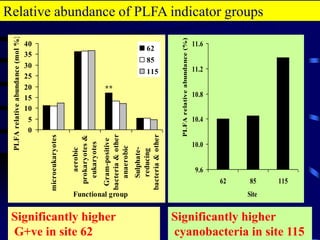 28Conclusionsmultivariate statistics suggest the occurrence of “microbial diversity patchiness” in the Negev desert Gram -ve anaerobe indicators (Cy17:0, Cy19:0) dominated the ISP while the Gram +ve indicators (i15:0, a15:0 and i16:0) were associated with SUC samples Halophyte plants may have a distinct effect influence on the community structure Nitrate, EC and OM have a significant bearing on microbial community structure