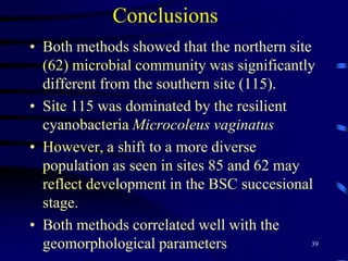 33Geomorphological and biophysiological parameters of the biological soil crusts along the rainfall gradient 