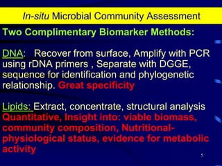 Most looks similar under light microscope – difficult to group by simple shape criteria