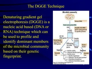 Problematic to find suitable growing conditions for different microbes