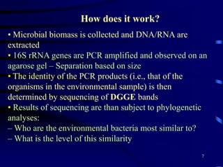 Some will grow slowly, some will not grow in lab