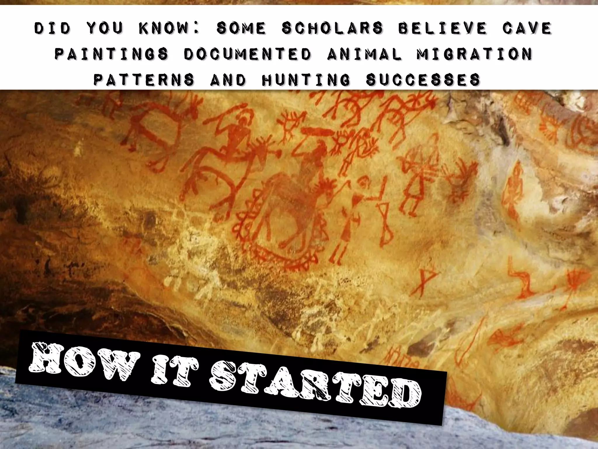 DID You know: some scholars believe cave
  paintings documented animal migration
     patterns and hunting successes
 