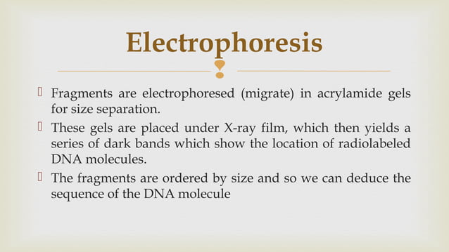 Maxam–Gilbert sequencing | PPT