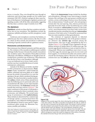 Life cycle and evolution of developmental patterns | PDF