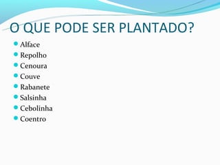 O QUE PODE SER PLANTADO?
Alface
Repolho
Cenoura
Couve
Rabanete
Salsinha
Cebolinha
Coentro
 