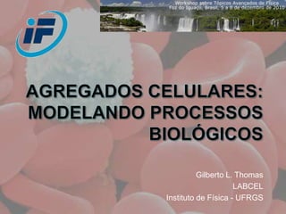 AGREGADOS CELULARES: MODELANDO PROCESSOS BIOLÓGICOS Gilberto L. Thomas LABCEL Instituto de Física - UFRGS 