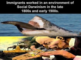 Immigrants worked in an environment of
Social Darwinism in the late
1800s and early 1900s.
 