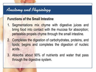 GI System 1 Lecture | PDF