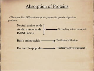 Absorption of Proteins

- There are five different transport systems for protein digestion
products:
        Neutral amino acids
        Acidic amino acids                      Secondary active transport
        IMINO acids

        Basic amino acids                      Facilitated diffusion


        Di- and Tri-peptides                   Tertiary active transport
 